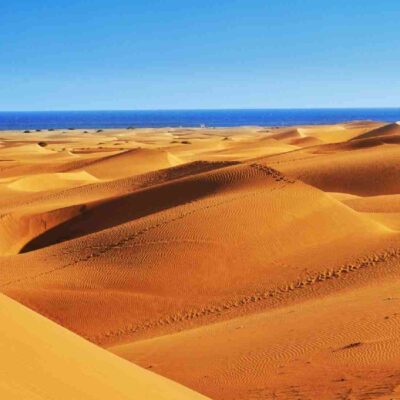 Dookoła Gran Canarii Plantacja kawy Odbiór z Las Palmas Sb