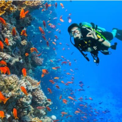 Polska szkoła nurkowania Zwiedzanie wyspy pod wodą