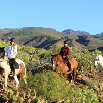 Horse Riding Gran Canaria Professional riding stable