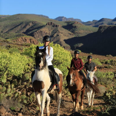 Jazda konna Gran Canaria Profesjonalna stadnina Pn - Nd