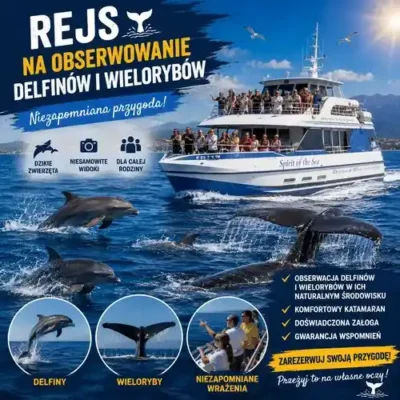 Obserwacja delfinów i wielorybów na Gran Canarii Rejsy 7 dni w tygodniu
